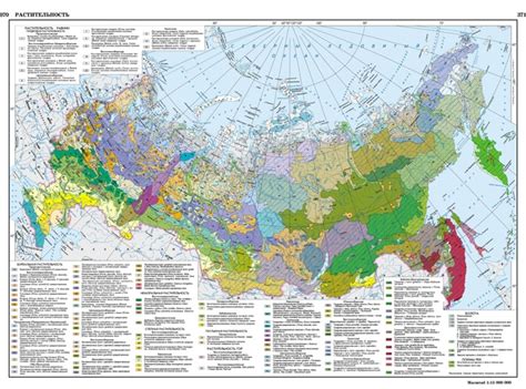 Рубрика: Карты в хорошем качестве Карта Растительности России Масштаб 1 ...