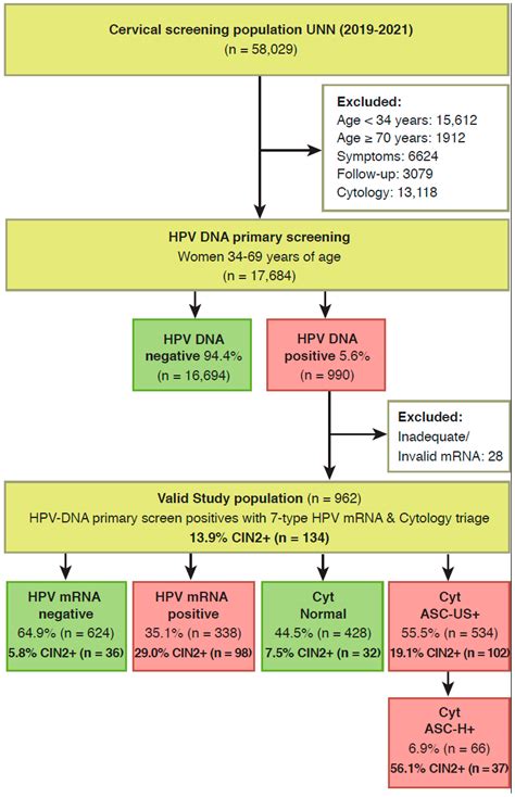 JMP Free Full Text Performance Of A 7 Type HPV MRNA Test In Triage