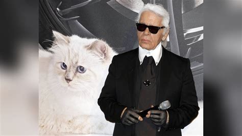 Kommt Karl Lagerfelds Katze Choupette Zur Met Gala Freenet De