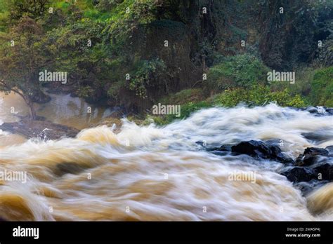 Elephant waterfall in Vietnam Stock Photo - Alamy