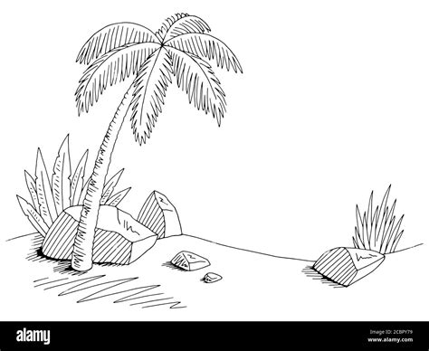 Palmera blanco y negro Imágenes vectoriales de stock Alamy