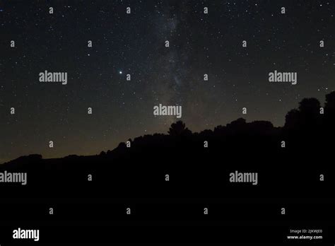 A Silhouette Of Trees Under Starry Night Sky Stock Photo Alamy