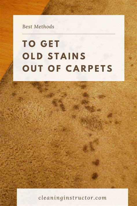 Carpet stains – Artofit