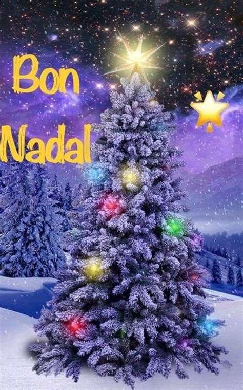 Pin tillagd av Pepi Prats Isern på BON NADAL BONES FESTES