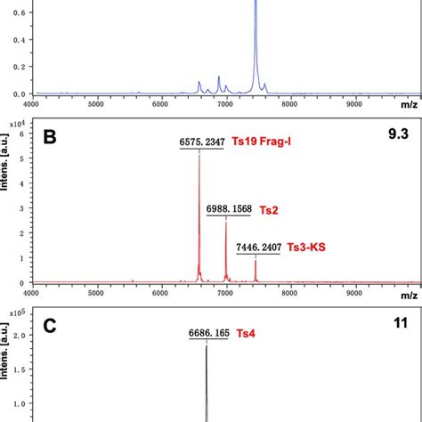 Mass spectra of the peaks (a) 7.4, (b) 9.3 and (c) 11. The mass spectra... | Download Scientific ...