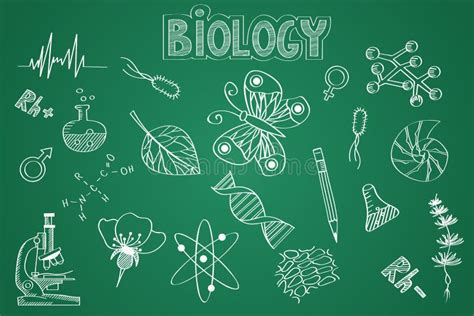 Biology Hand Drawn Stock Illustrations 28342 Biology Hand Drawn Stock Illustrations Vectors