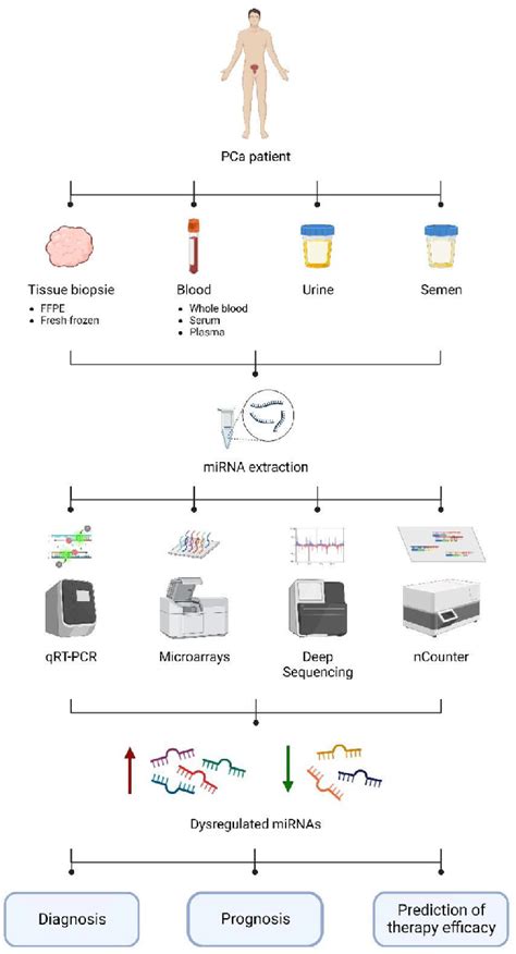 Schematic Representation Of The Different High Throughput Tools For