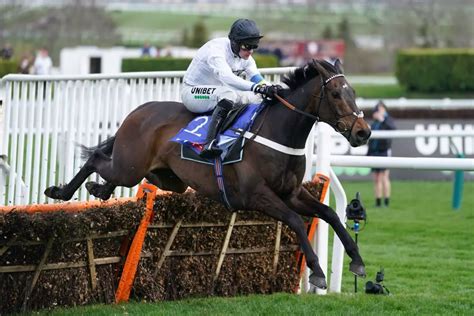 Michael Buckley hails Constitution Hill a 'special horse' after ...