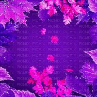 Lu Bg Animated Autumn Laeves Purple Idca Lu Bg Animated Autumn