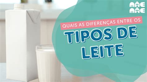 Tipos de leite aprenda a diferença entre eles