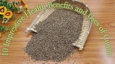 10 Impressive Health Benefits And Uses Of Cumin Youtube