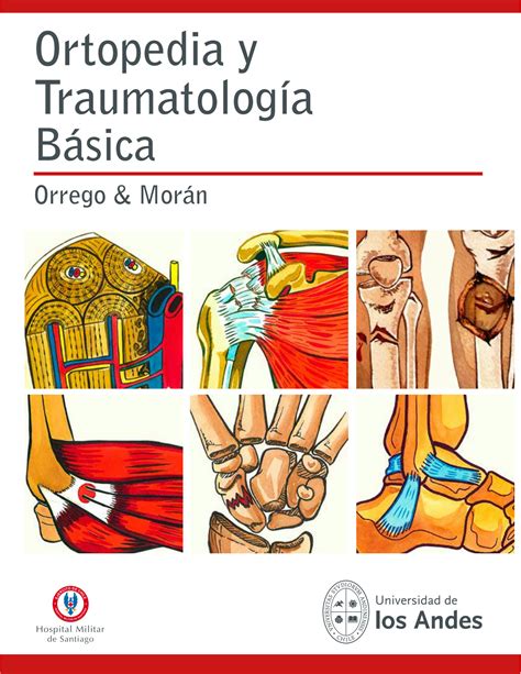 Solution Ortopedia Y Traumatologia Basica Studypool