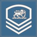 Master Sergeant