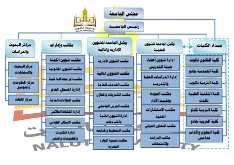 الهيكل التنظيمي جامعة نالوت