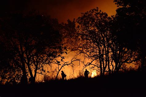 Se Han Registrado 205 Incendios Forestales En Lo Que Va Del Año En