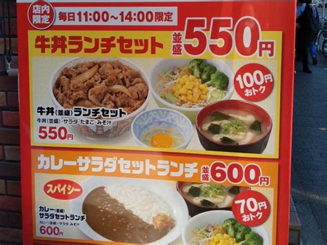 すき家の「牛丼ランチセット」と「牛丼とカレーのwセットランチ」 びょうびょうたる日記