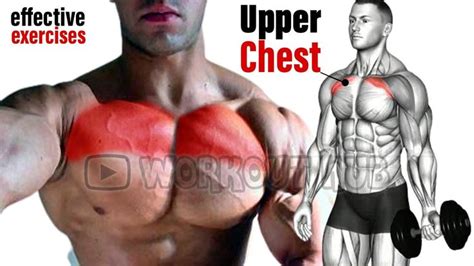 An Image Of A Man Showing His Upper Chest And Shoulder Muscles With The