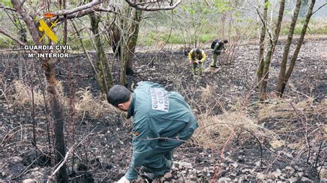 Detenido El Presunto Autor De Seis Incendios Forestales En Una Zona