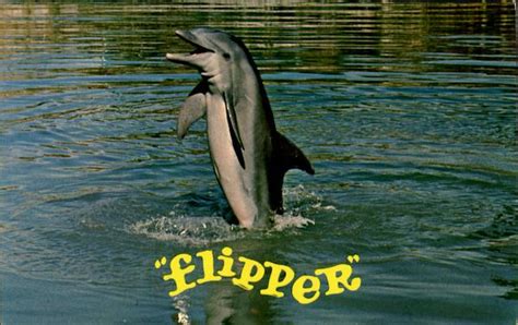 Flipper Fish