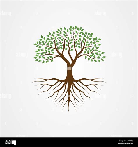 Baum Mit Den Wurzeln Vector Illustration Stock Vektorgrafik Alamy