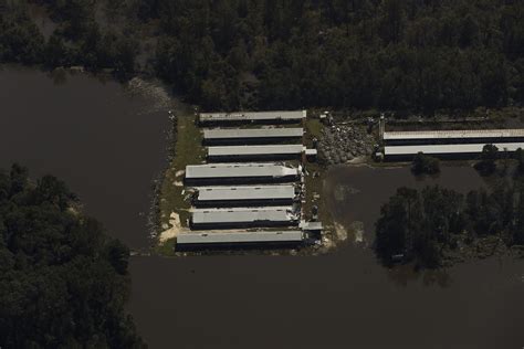 Plans are being updated at taylor tyson funeral home in snow hill nc 32