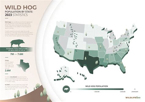 Wild Hog Population By State: 2023 Trends [Statistics]