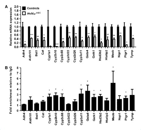 Hnf4α regulates genes involved in the control of oxidoreductase