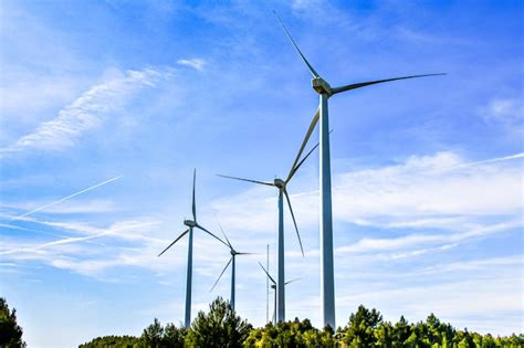 Molinos de viento para la producción de energía eléctrica parque