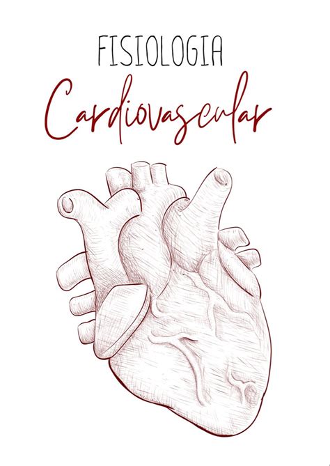 Capa Fisiologia Cardiovascular Capa De Caderno Fisiologia Capa De