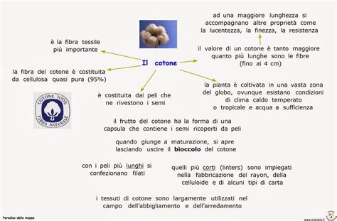 Paradiso Delle Mappe Le Fibre Tessili Il Cotone