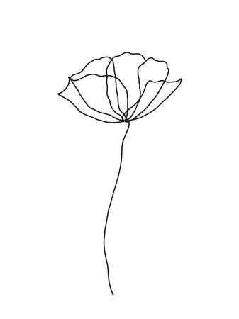 Poppy Flower Line Art Minimalist Contour Drawing One Line Artwork