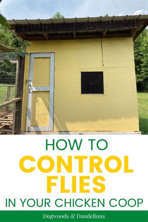 How To Keep Chickens Cool In The Summer Artofit