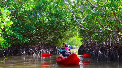 Isla Aguada el refugio pirata en México que se convirtió en Pueblo