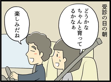 流産の原因や種類、兆候などをマンガで解説【保健師監修】ずんこ｜こそだてdays ママ達の子育て体験談マンガ