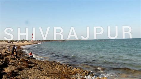 DWARKA|BEYT DWARKA| SHIVRAJPUR|CLEANEST BEACHES OF INDIA|BLUE FLAG ...