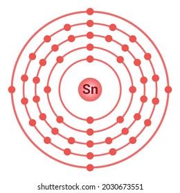 Bohr Model Tin Atom Electron Structure Stock Vector (Royalty Free ...