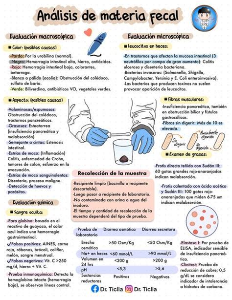 An Lisis De Materia Fecal Jhan Carlos Ticlla Mori Udocz