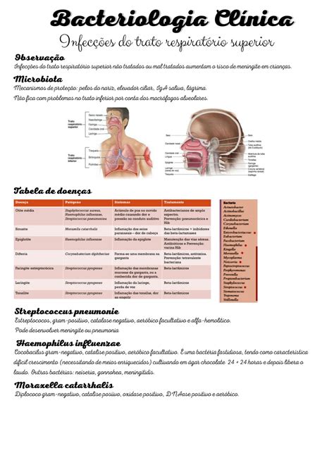 SOLUTION Infeccoes Do Trato Respirat Rio Superior Upper Respiratory