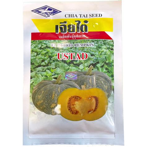 Chia Tai F1 Hybrid Pumpkin Ustad Seeds Packaging Type Packet