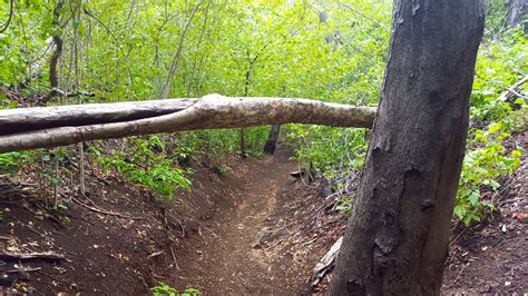 Hiking at Las Catalinas, CR – Wander with Bri