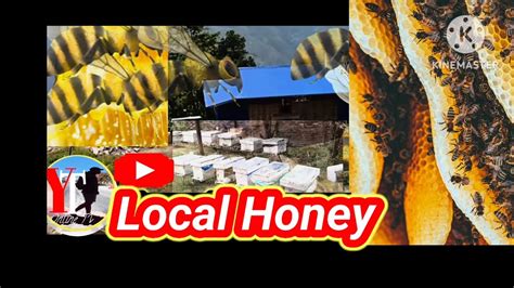 Original Honey Pure Honey Test Youtube