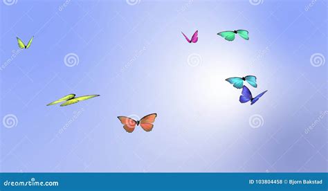 Looping Butterfly Animation Colorful Butterflies Flying With A Blue