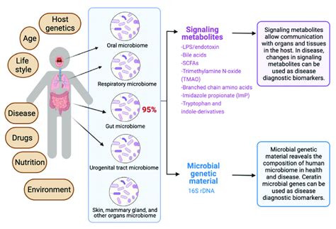 Exploiting The Human Microbiome For Diagnostic Disease Biomarkers