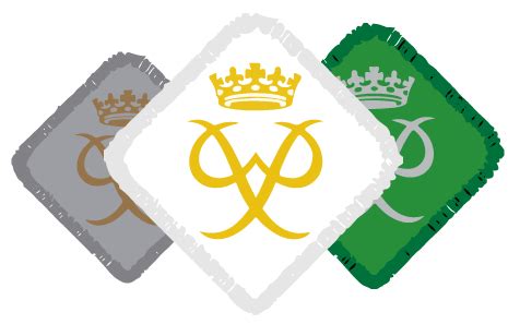 Duke Of Edinburgh’s Award - Hampshire Scouts - Top Awards