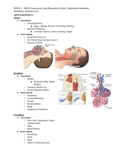 Solution Week 2 Abcd Assessment Acute Respiratory Failure Endotracheal