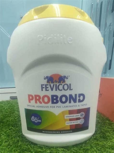 Fevicol Pro Bond Adhesive At Best Price In Visakhapatnam By Sri Raj