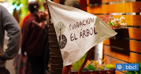 Fundación el Árbol realiza balance de sus 10 años de trabajo en