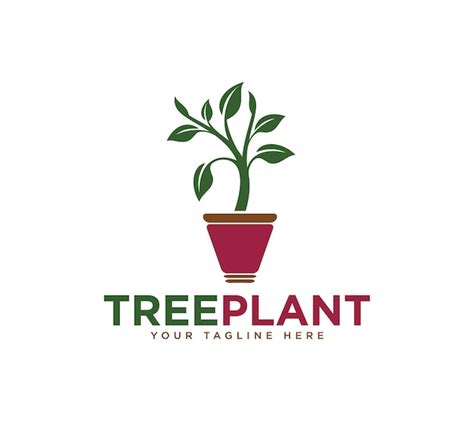 Logotipo De Planta De árbol De Semilla En Crecimiento Plantilla De