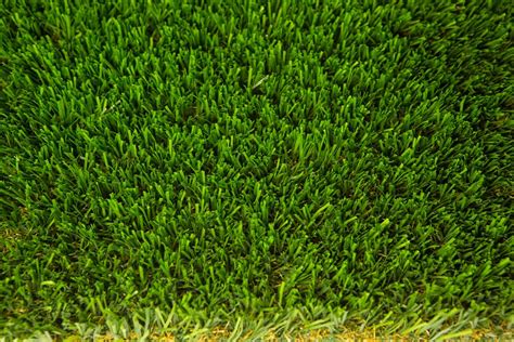 Synthetic Turf Colors Los Angeles Inglewood Santa Ana Agoura Hills Ca