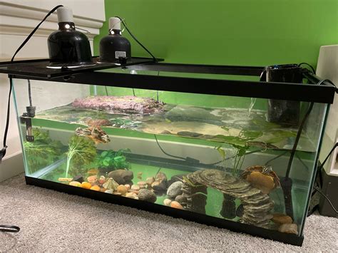 Since u/zepptheturtle got banned, here is a picture of his new tank